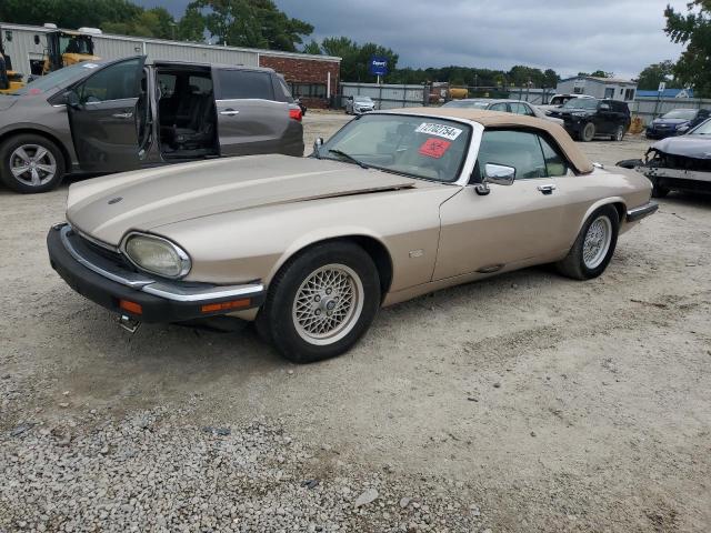 jaguar xjs 1992 sajnw4844nc182568