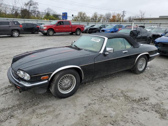 jaguar xjs 1992 sajnw484xnc180260