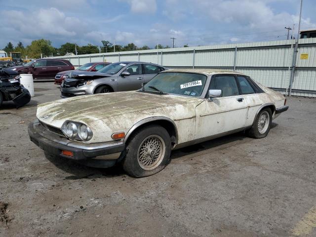 jaguar xjs 1989 sajny584xkc161154