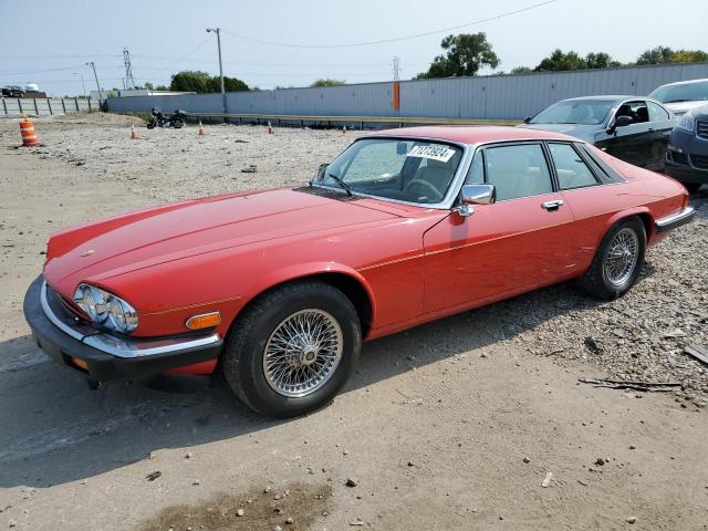 jaguar xjs 1989 sajty5849kc164540