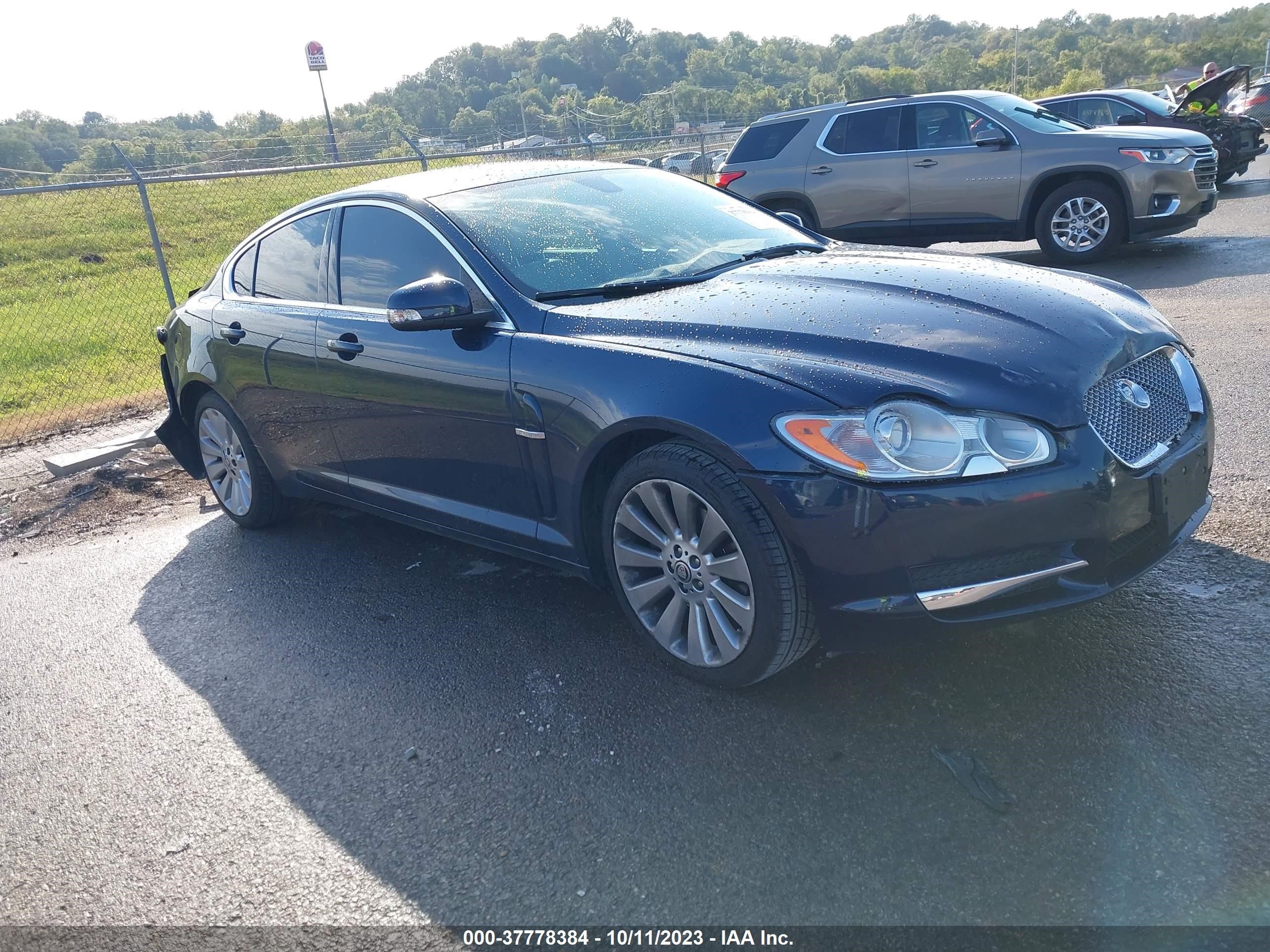 jaguar xf 2009 sajwa06b59hr32159