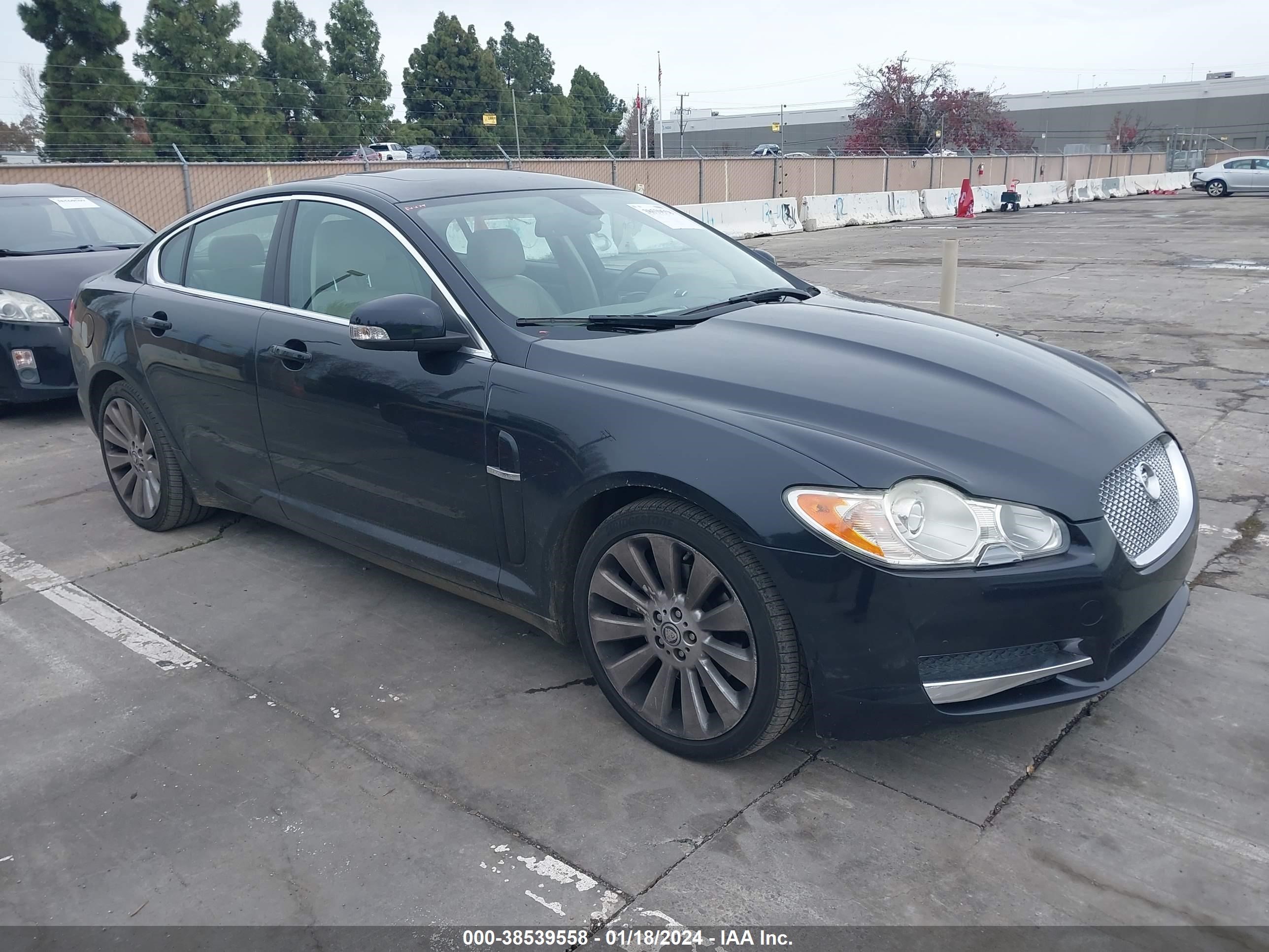 jaguar xf 2009 sajwa06b99hr19253