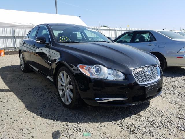 jaguar xf premium 2011 sajwa0gbxblr85201