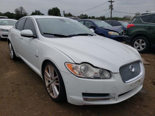 jaguar xf superch 2011 sajwa0he7bms01379