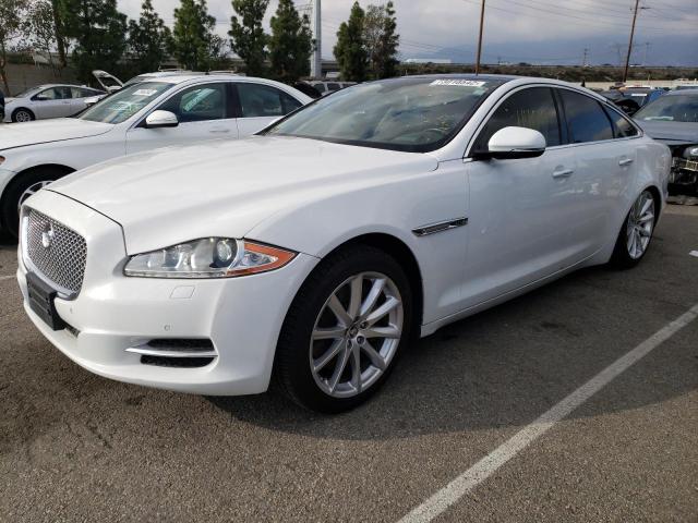 jaguar xj 2013 sajwj1cd5d8v49598