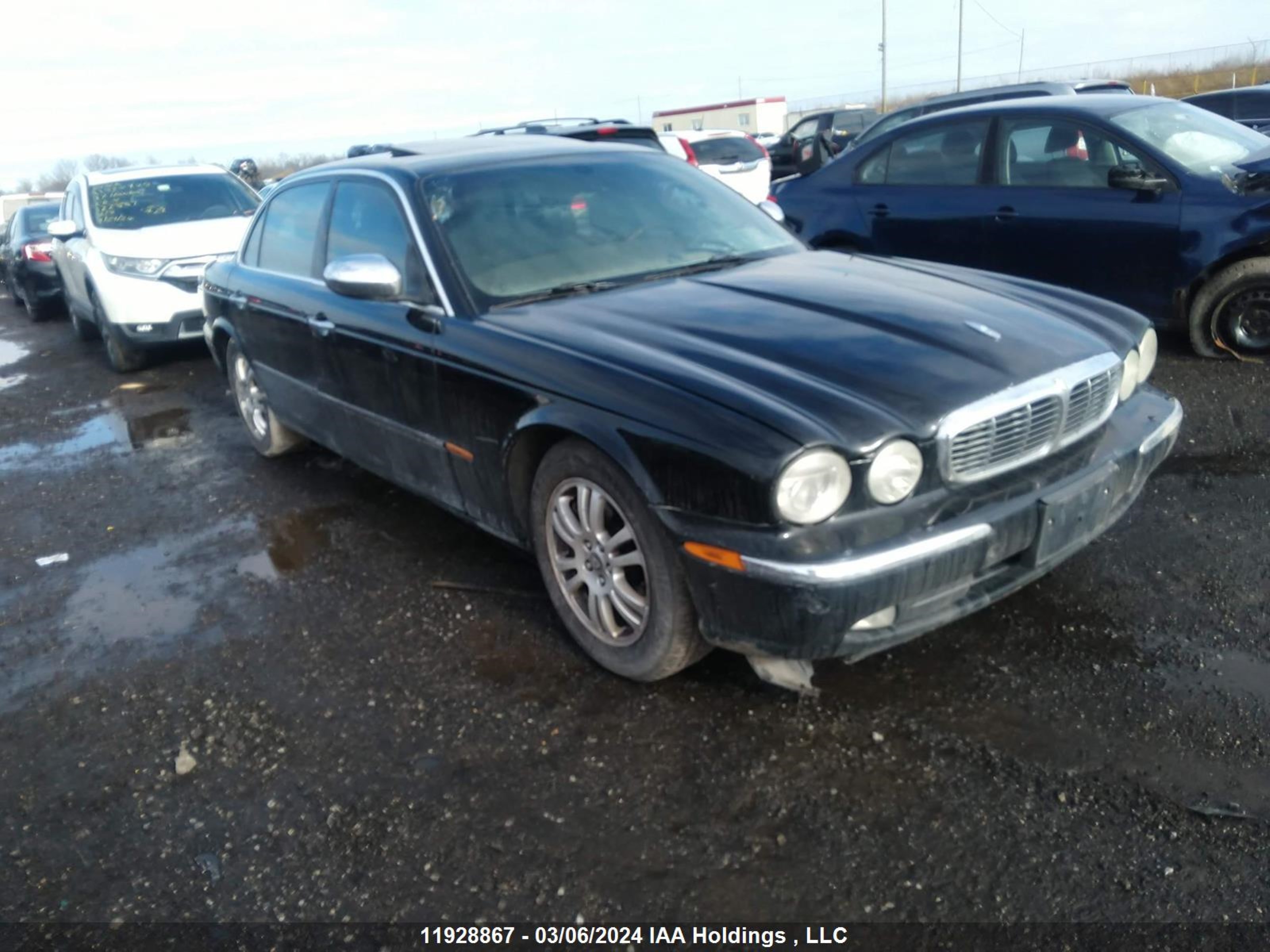 jaguar xj 2005 sajxa82c55sg40433