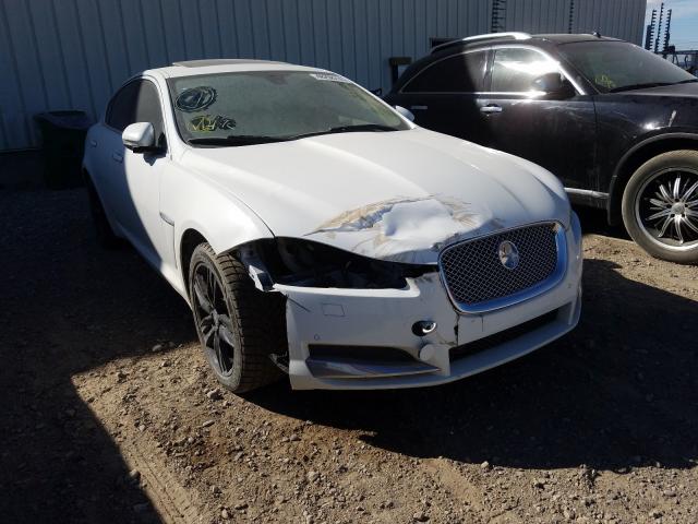 jaguar xf 2013 sajxj0ef5d8u08124