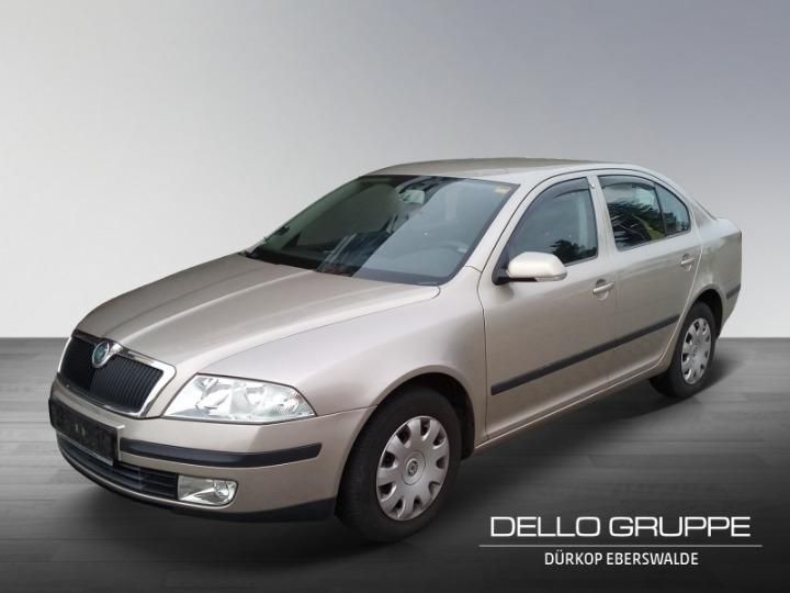 skoda octavia hatchback 2004 tmbca61z058020963