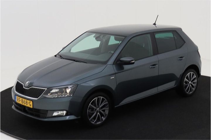 skoda fabia 2017 tmbep6nj5jz057166