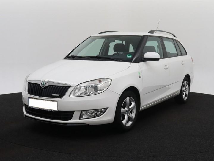 skoda fabia 2011 tmbjk65jxb3201179