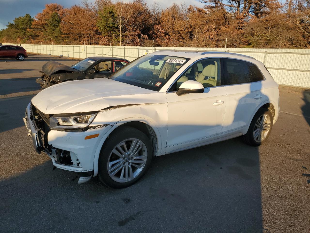 audi q5 2019 wa1bnafy3k2046663