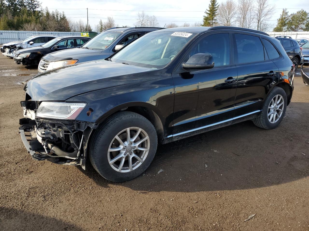 audi q5 2013 wa1cfcfp5da093612