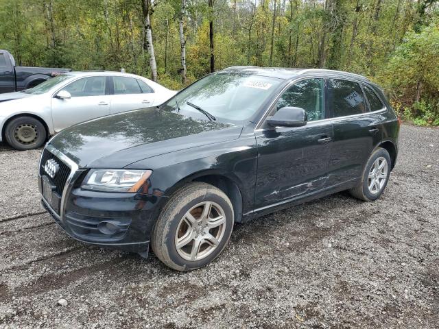 audi q5 premium 2010 wa1ckcfp2aa007583