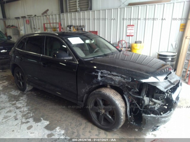 audi q5 2010 wa1lkafp2aa086872