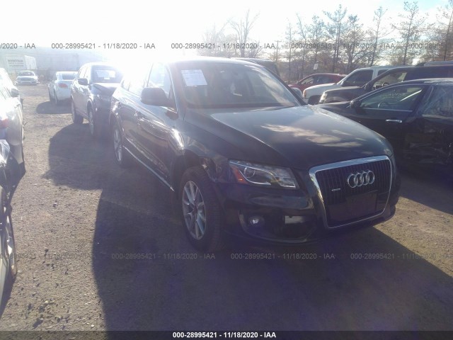 audi q5 2010 wa1lkafp9aa013028