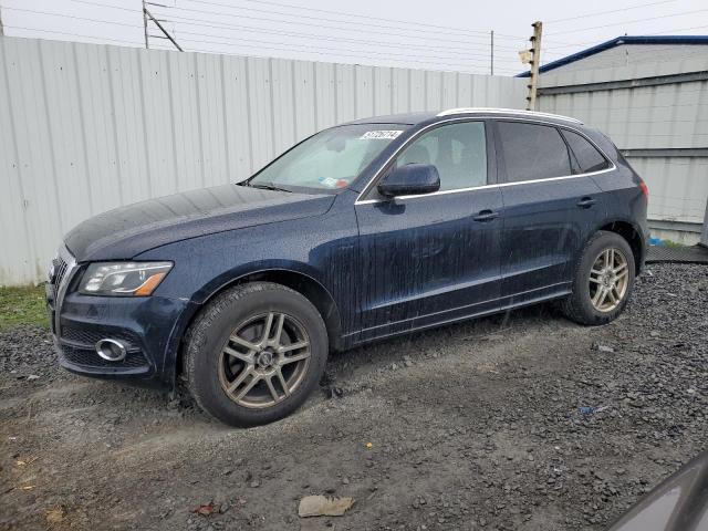 audi q5 2010 wa1mkafp1aa103262