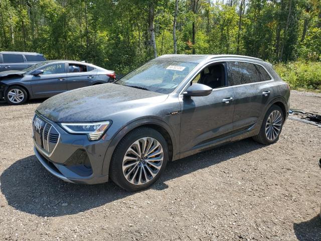 audi e-tron chr 2022 wa1vaage3nb044168