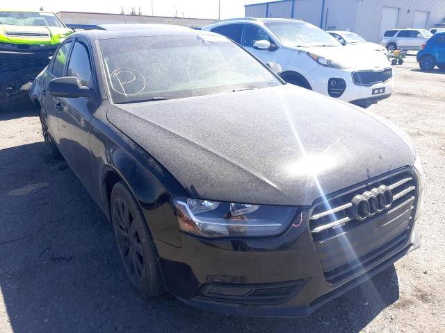 audi a4 premium 2013 wauafafl4dn019621