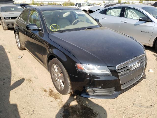 audi  2010 waubfafl0an013170