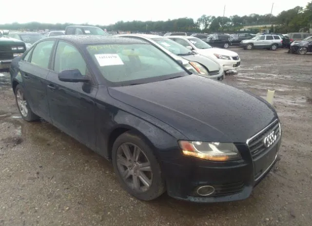 audi a4 2010 waubfafl2an041116