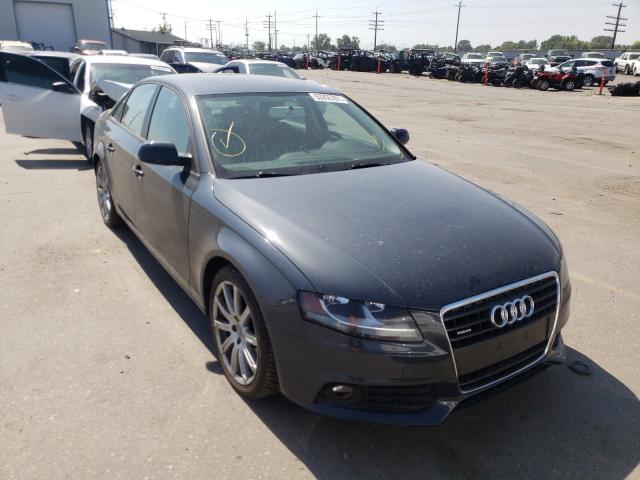 audi a4 2010 waubfaflxan033345