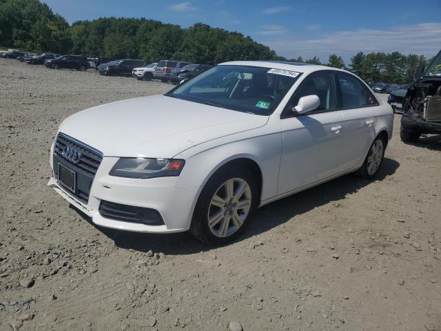 audi a4 premium 2010 waudfafl2an028861