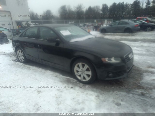 audi a4 2010 waudfaflxan015579