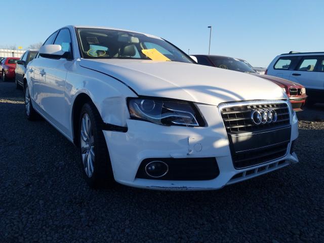 audi a4 premium 2010 wauefafl2an032347