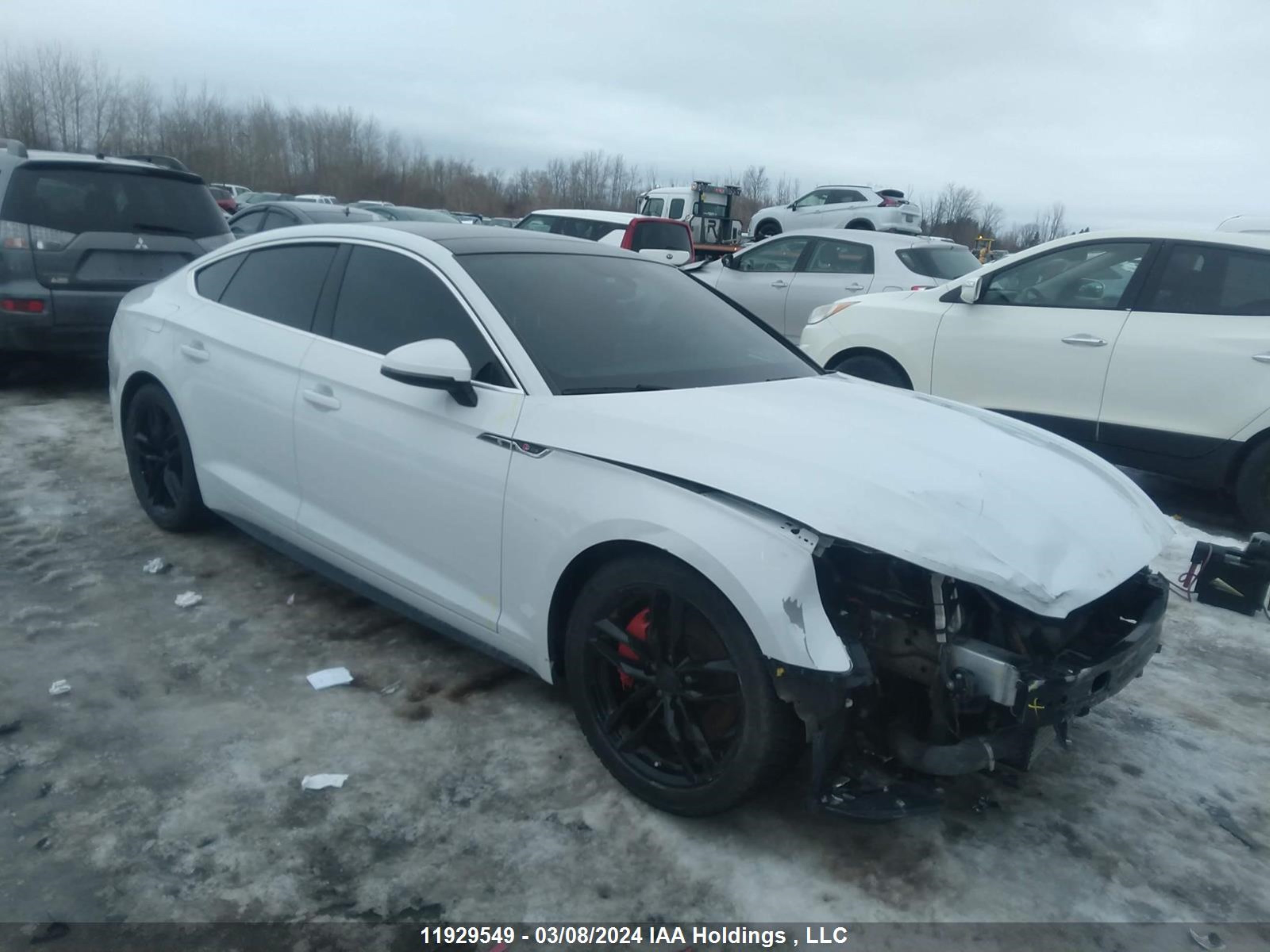 audi a5 2018 wauencf58ja010277