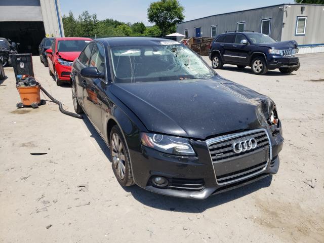 audi a4 premium 2010 wauffaflxan021195