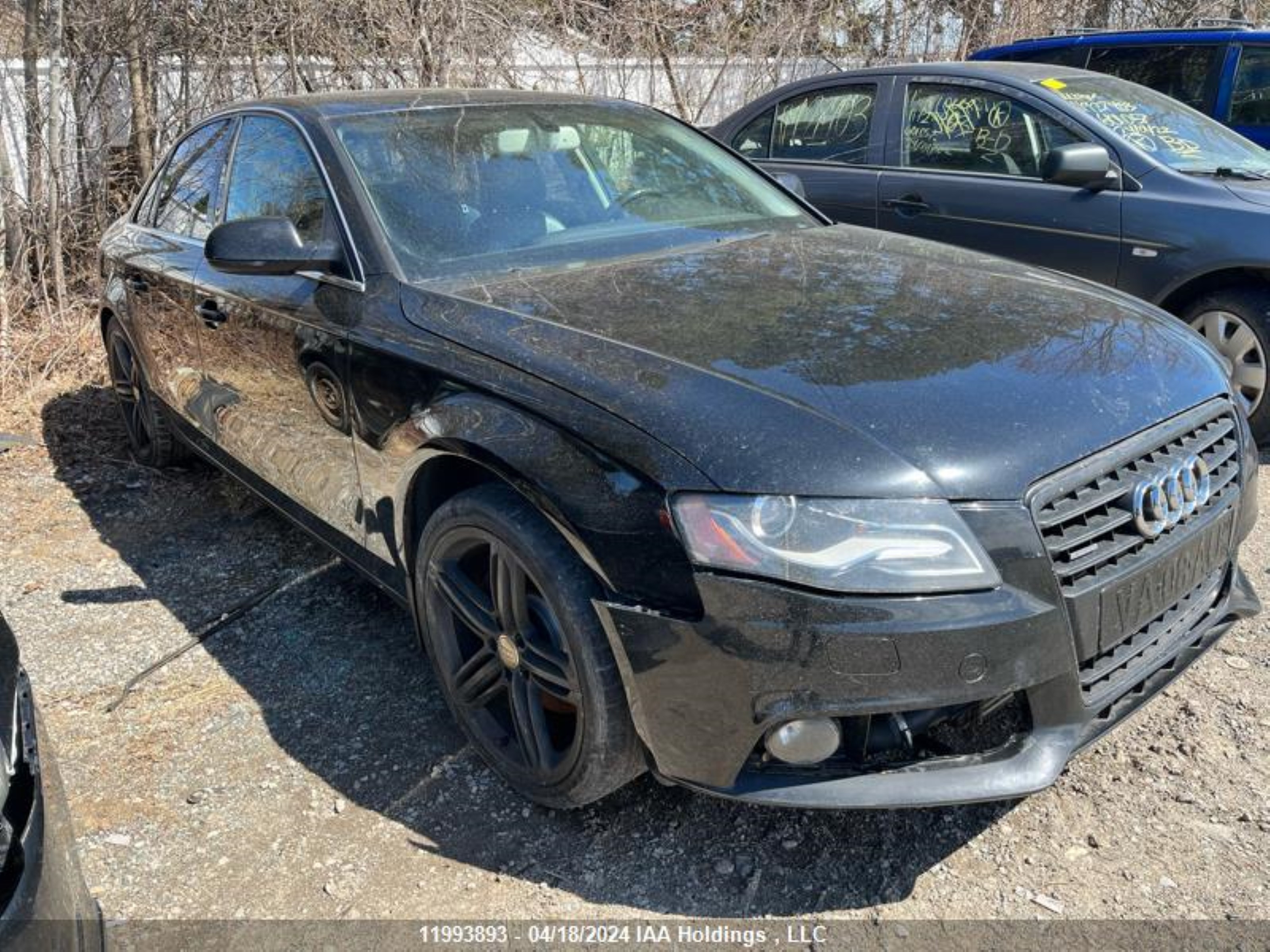 audi a4 2010 wauhfcfl5an028429