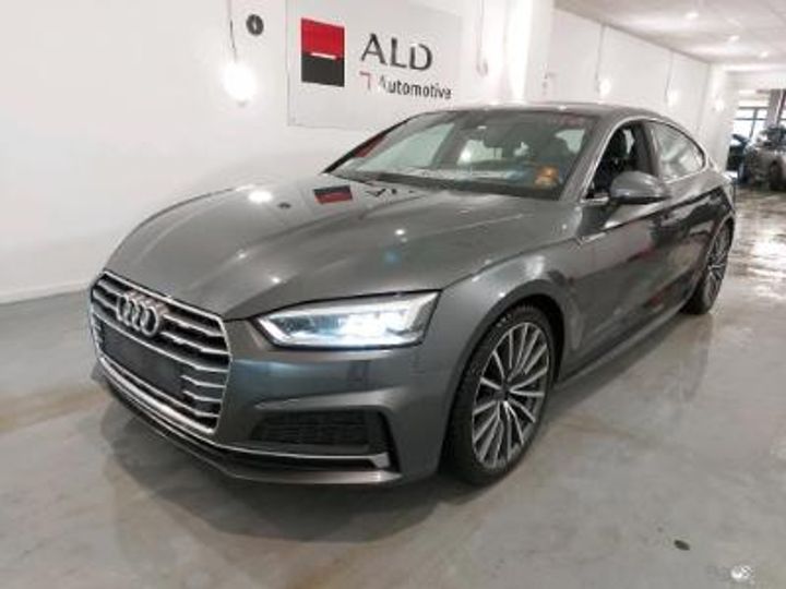 audi a5 sportback diesel - 2017 2017 wauzzzf51ha029336