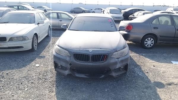 bmw 220i 2014 wba1j110xevw83967