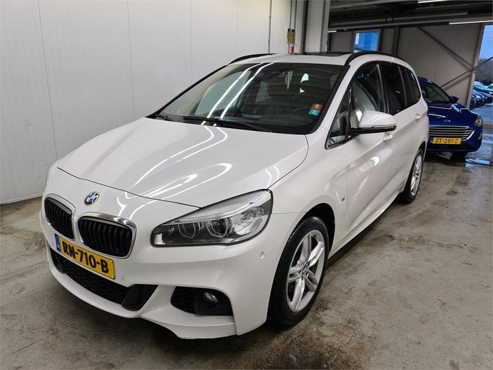 bmw 218 2018 wba2d310805c61618