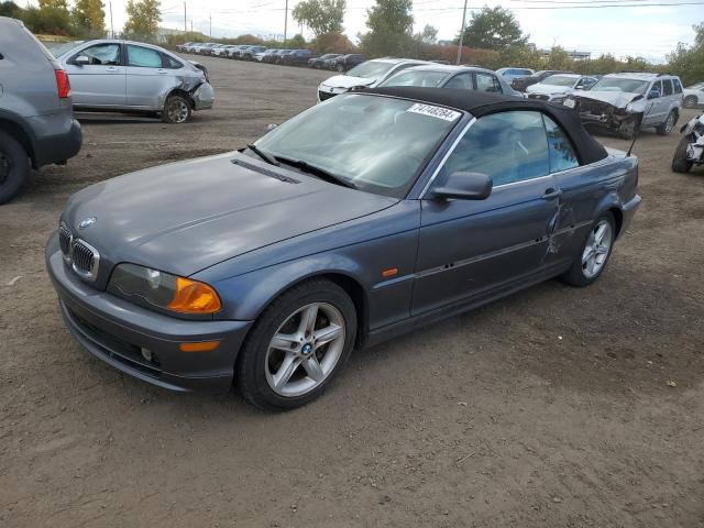 bmw 325 ci 2003 wbabs33493pg89518