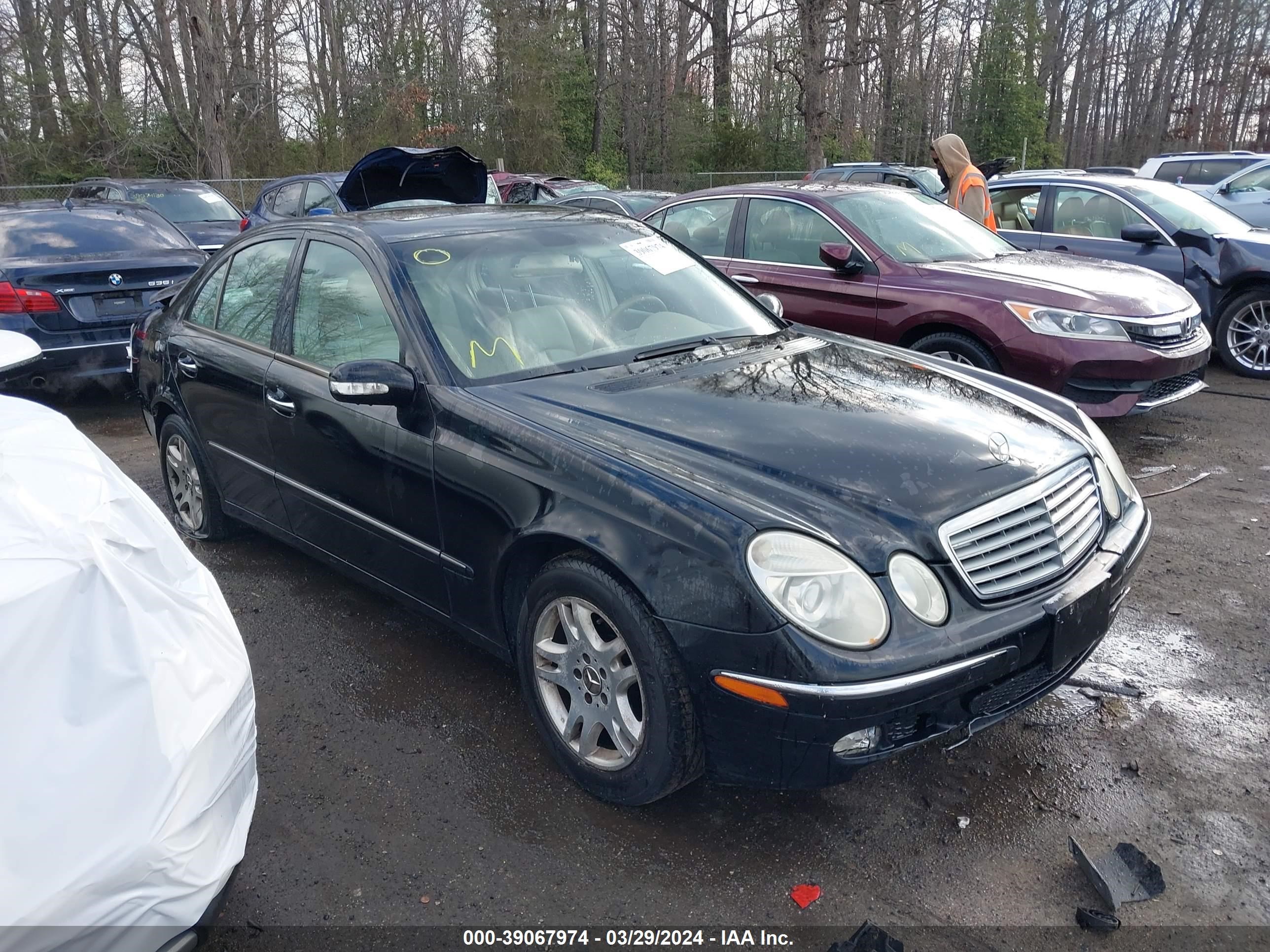 mercedes-benz  2004 wdbuf65j44a440239