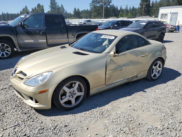 mercedes-benz slk-class 2007 wdbwk56f47f149918