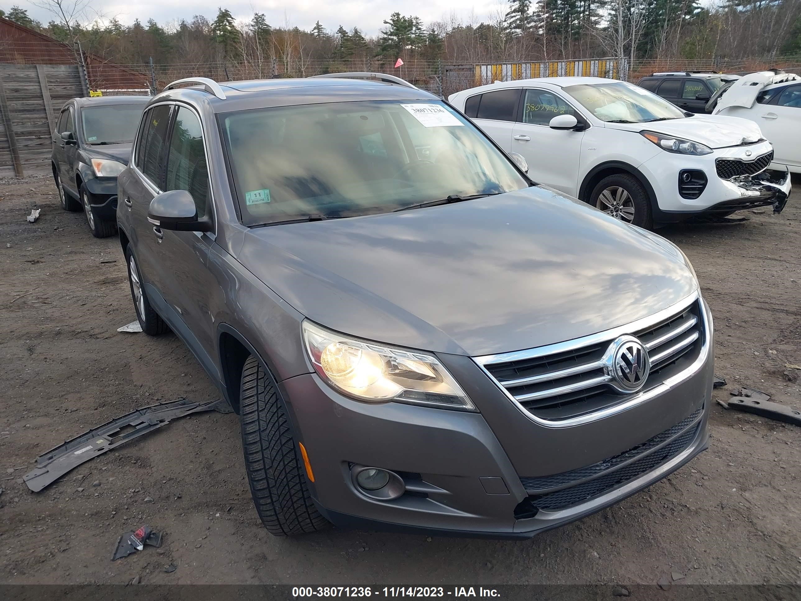 volkswagen tiguan 2009 wvgav75n19w525495