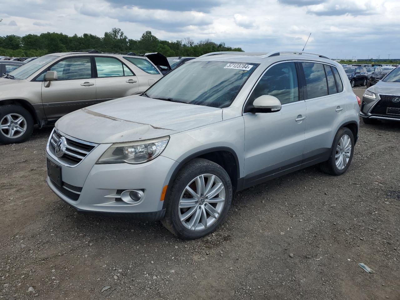 volkswagen tiguan 2009 wvgav75n19w526873