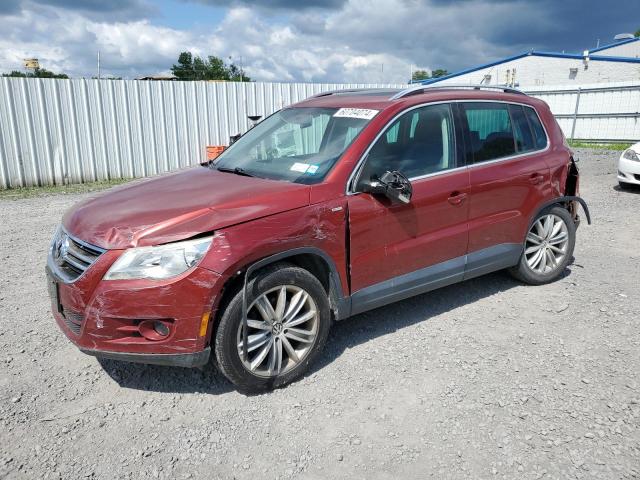 volkswagen tiguan 2010 wvgav7ax1aw001968