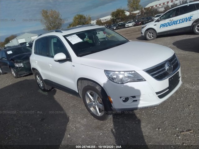 volkswagen tiguan 2010 wvgbv7ax0aw531546