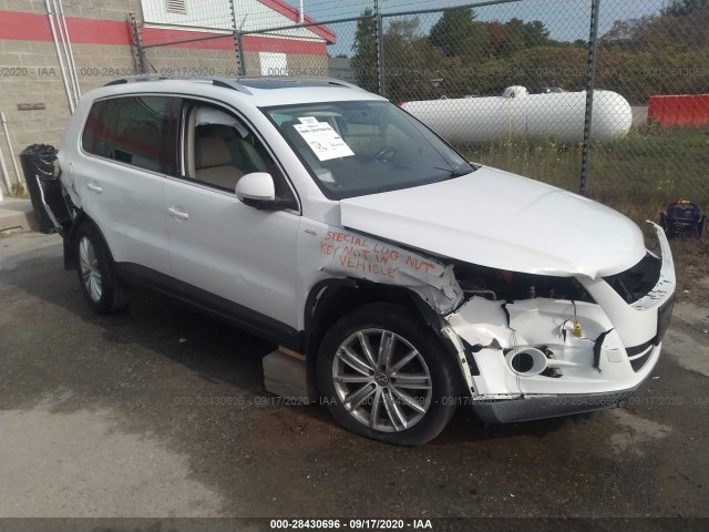 volkswagen tiguan 2010 wvgbv7ax3aw534280