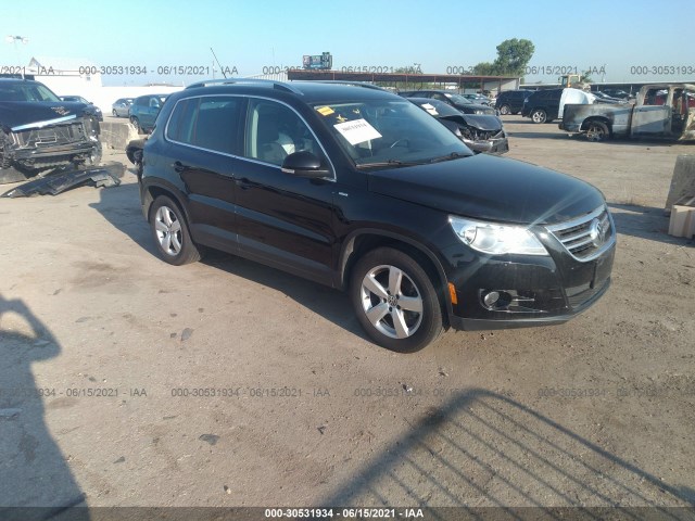 volkswagen tiguan 2010 wvgbv7ax8aw521797