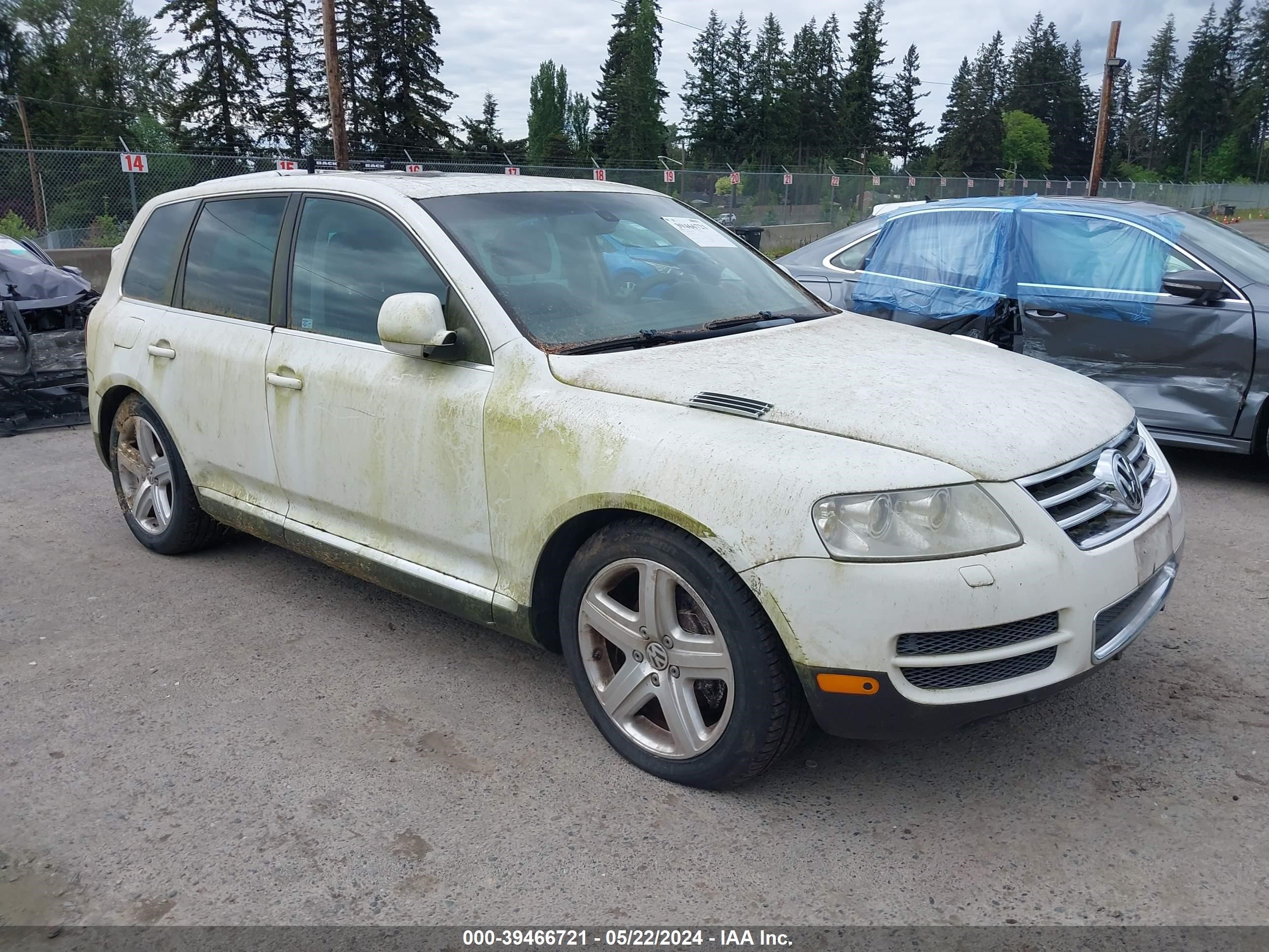 volkswagen touareg 2005 wvgmm77l85d072171