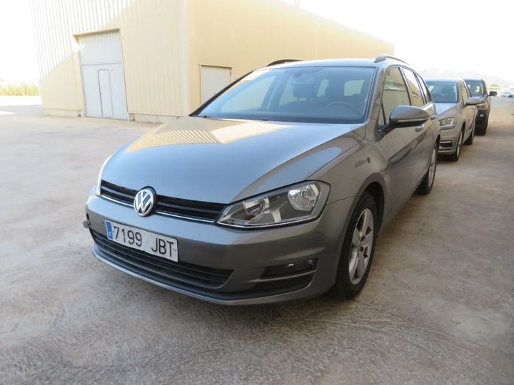 volkswagen golf 2014 wvwzzzauzfp571799