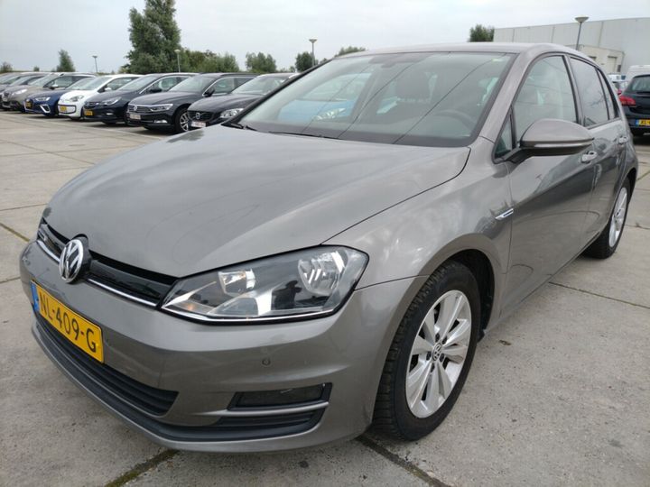 volkswagen golf 2017 wvwzzzauzhw164020