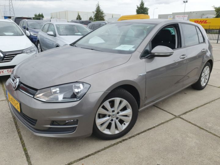 volkswagen golf 2017 wvwzzzauzhw164041