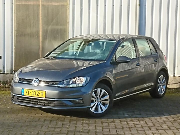 volkswagen golf 2019 wvwzzzauzkp003409