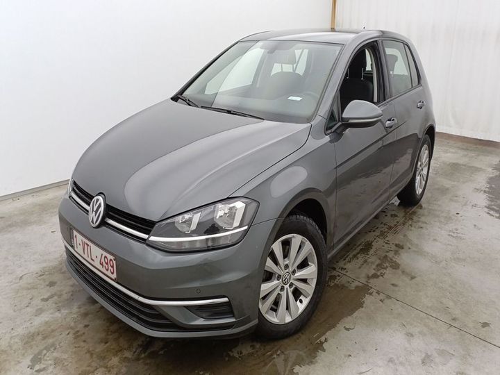 volkswagen golf 2019 wvwzzzauzkp058519