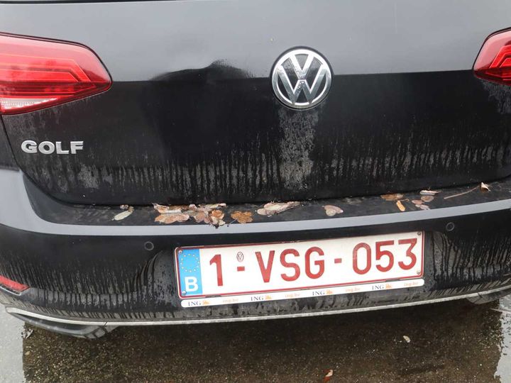 volkswagen golf 2019 wvwzzzauzkp058888